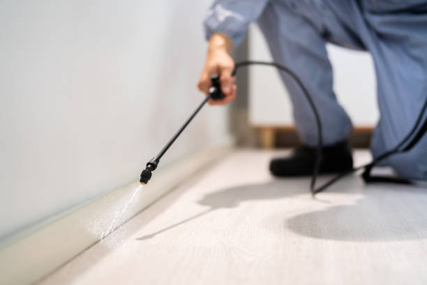 Licensed Pest Control service in Rathdrum, ID - Show Me Pest Control